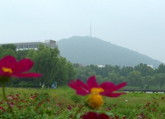 优秀学生作品——吕乐瑶《花与山》《舒展》